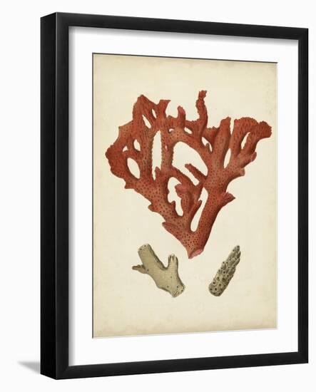 Antique Red Coral II-Vision Studio-Framed Art Print