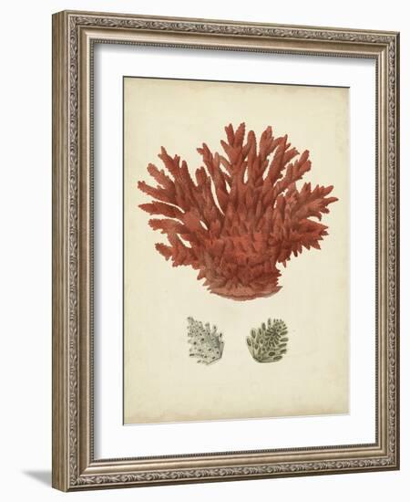 Antique Red Coral III-Vision Studio-Framed Art Print