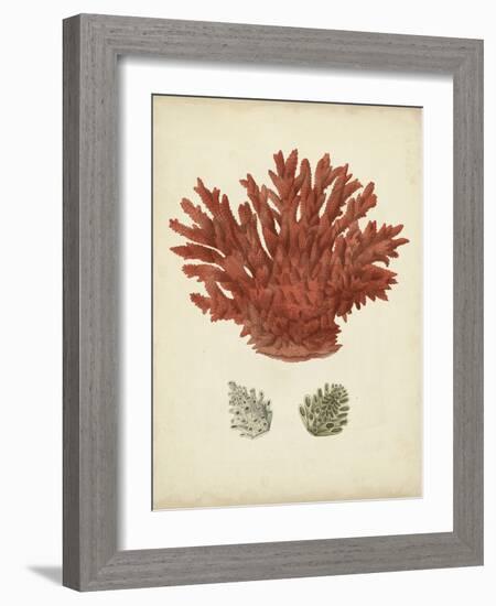 Antique Red Coral III-Vision Studio-Framed Art Print