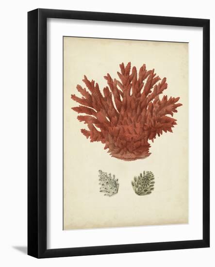 Antique Red Coral III-Vision Studio-Framed Art Print