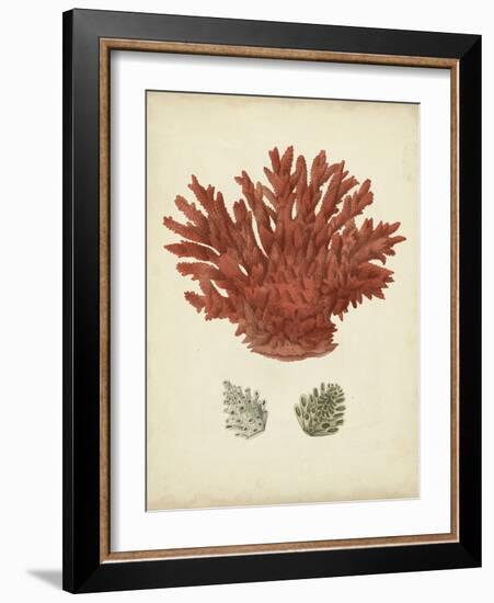 Antique Red Coral III-Vision Studio-Framed Art Print