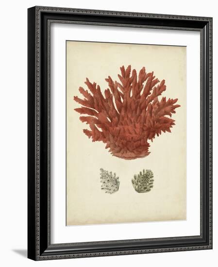 Antique Red Coral III-Vision Studio-Framed Art Print