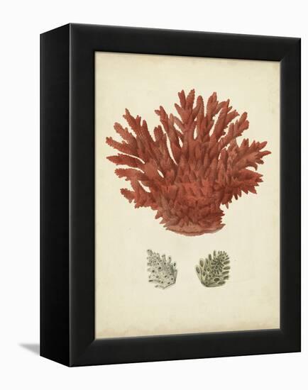 Antique Red Coral III-Vision Studio-Framed Stretched Canvas