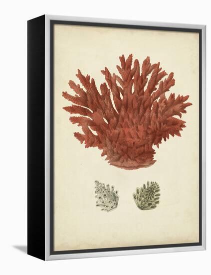 Antique Red Coral III-Vision Studio-Framed Stretched Canvas