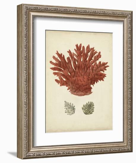 Antique Red Coral III-Vision Studio-Framed Art Print