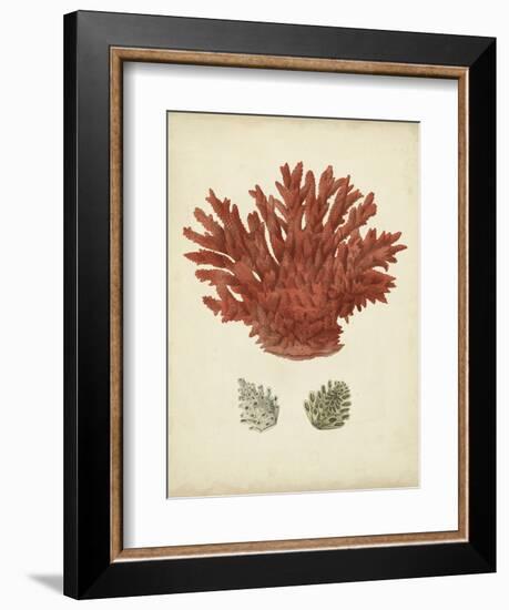 Antique Red Coral III-Vision Studio-Framed Art Print