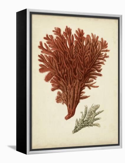 Antique Red Coral V-Vision Studio-Framed Stretched Canvas