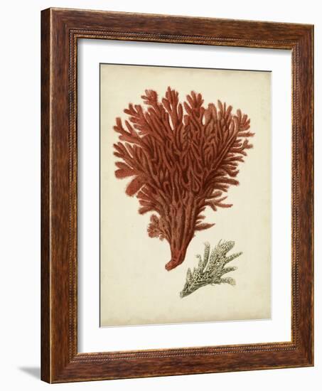 Antique Red Coral V-Vision Studio-Framed Art Print