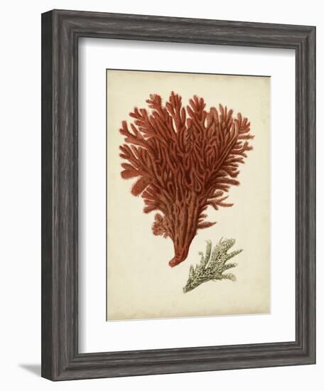 Antique Red Coral V-Vision Studio-Framed Art Print