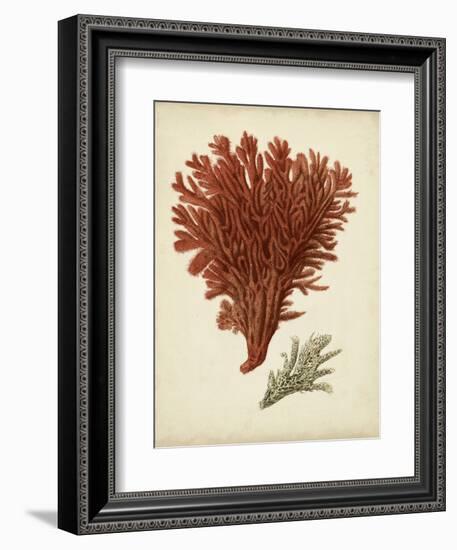 Antique Red Coral V-Vision Studio-Framed Art Print