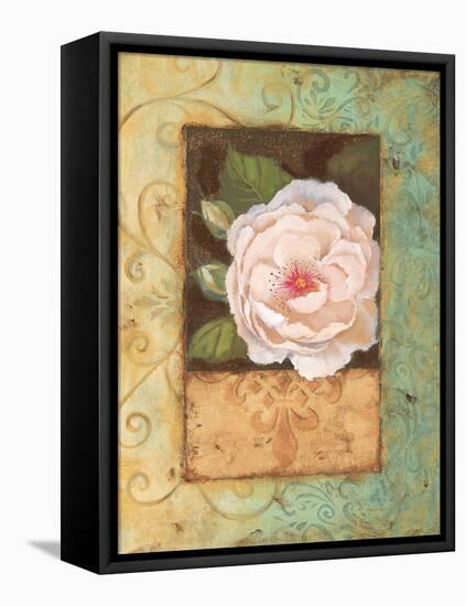 Antique Rose II-Jillian Jeffrey-Framed Stretched Canvas