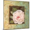 Antique Rose IV-Jillian Jeffrey-Mounted Art Print