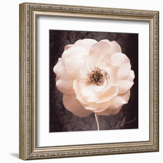 Antique Rose-Christine Zalewski-Framed Art Print