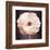 Antique Rose-Christine Zalewski-Framed Art Print