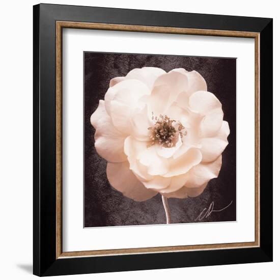 Antique Rose-Christine Zalewski-Framed Art Print