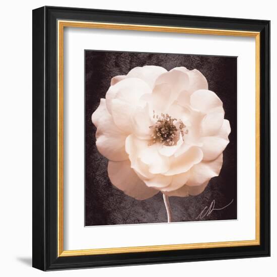 Antique Rose-Christine Zalewski-Framed Art Print