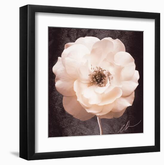 Antique Rose-Christine Zalewski-Framed Art Print