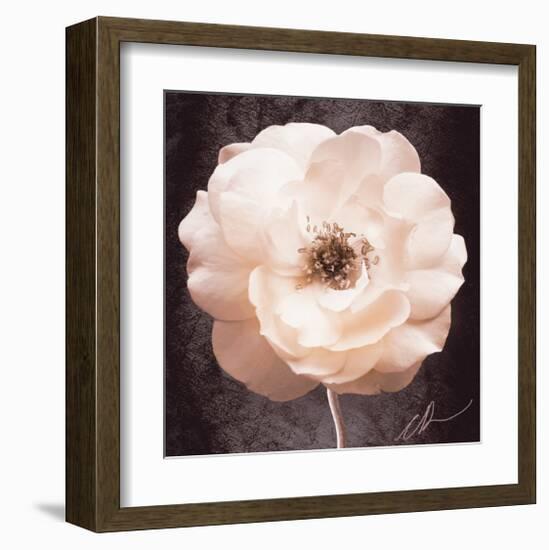 Antique Rose-Christine Zalewski-Framed Art Print