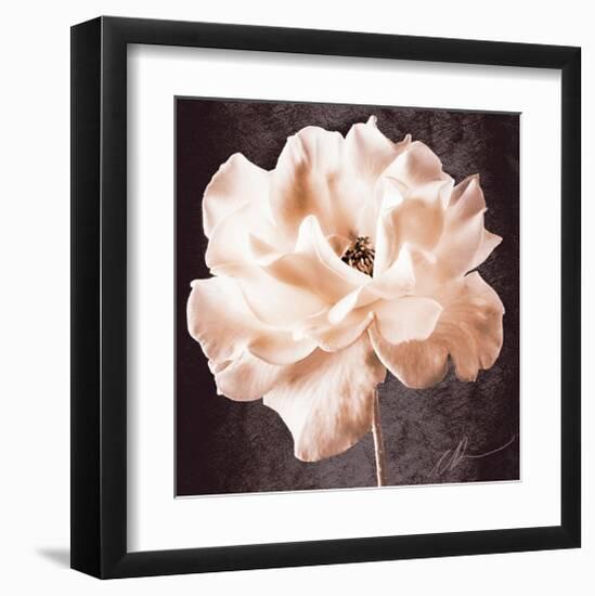 Antique Rose-Christine Zalewski-Framed Art Print