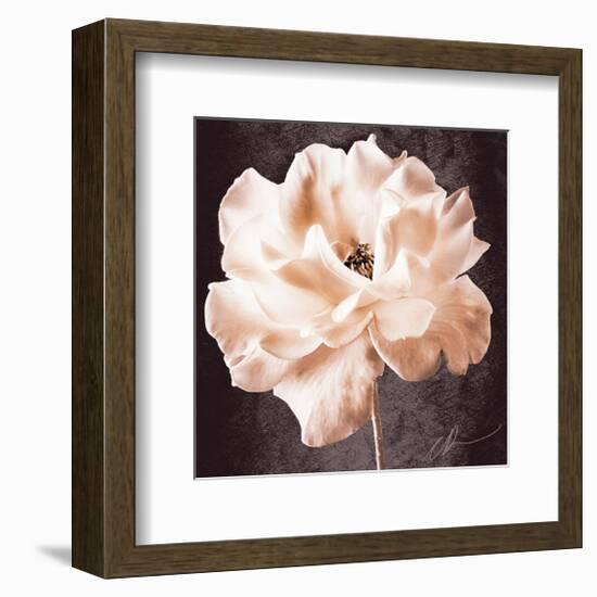 Antique Rose-Christine Zalewski-Framed Art Print