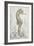 Antique Sea Horse I-Patricia Pinto-Framed Art Print