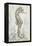 Antique Sea Horse I-Patricia Pinto-Framed Stretched Canvas