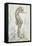 Antique Sea Horse I-Patricia Pinto-Framed Stretched Canvas