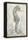 Antique Sea Horse I-Patricia Pinto-Framed Stretched Canvas