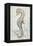 Antique Sea Horse II-Patrcia Pinto-Framed Stretched Canvas