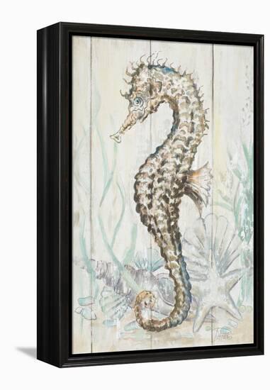 Antique Sea Horse II-Patrcia Pinto-Framed Stretched Canvas