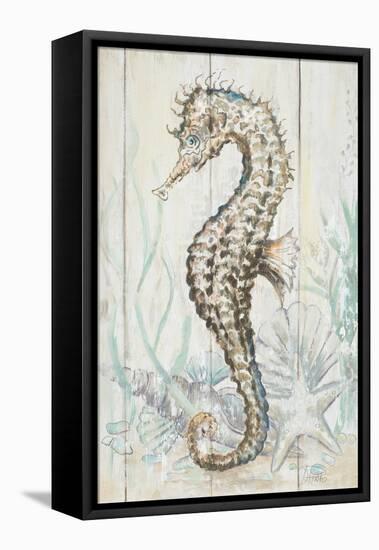 Antique Sea Horse II-Patrcia Pinto-Framed Stretched Canvas