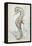 Antique Sea Horse II-Patrcia Pinto-Framed Stretched Canvas