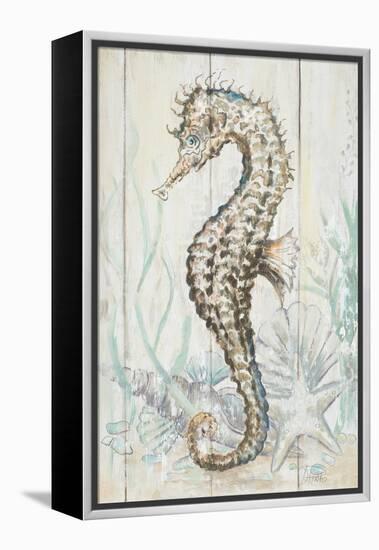 Antique Sea Horse II-Patrcia Pinto-Framed Stretched Canvas