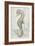 Antique Sea Horse II-Patrcia Pinto-Framed Art Print