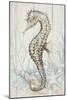 Antique Sea Horse II-Patrcia Pinto-Mounted Art Print