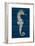 Antique Seahorse on Blue I-Patricia Pinto-Framed Art Print