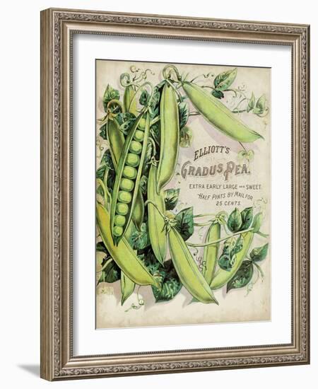 Antique Seed Packets V-Unknown-Framed Art Print