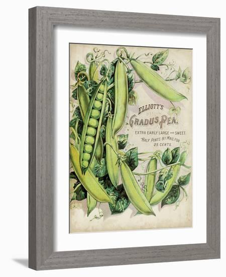 Antique Seed Packets V-Unknown-Framed Art Print