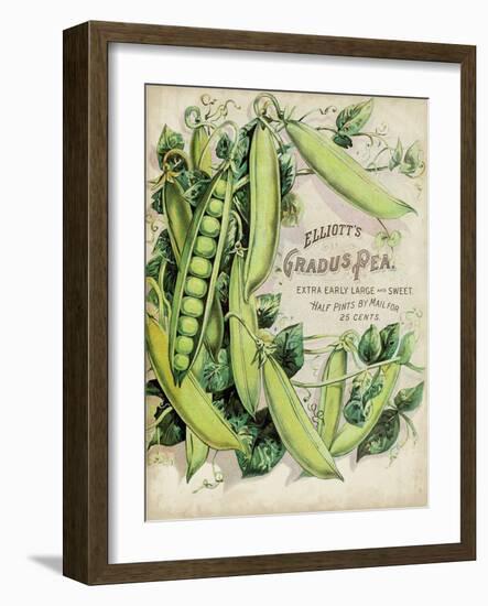 Antique Seed Packets V-Unknown-Framed Art Print