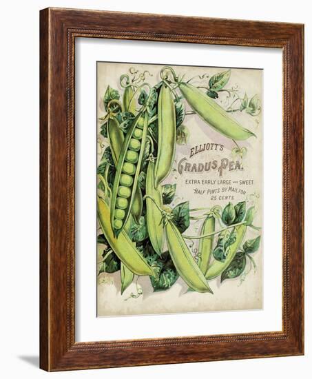 Antique Seed Packets V-Unknown-Framed Art Print