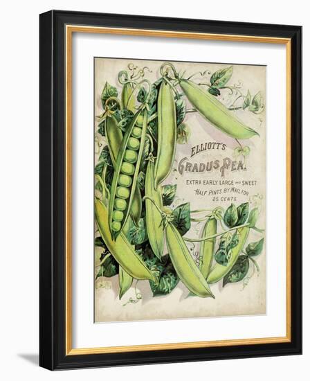 Antique Seed Packets V-Unknown-Framed Art Print