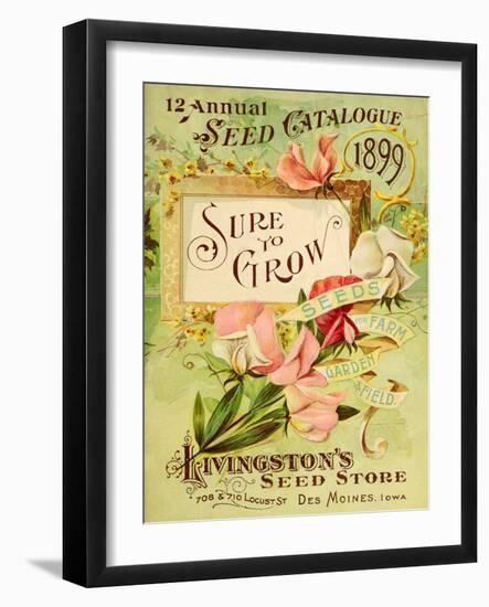 Antique Seed Packets VIII-Unknown-Framed Art Print