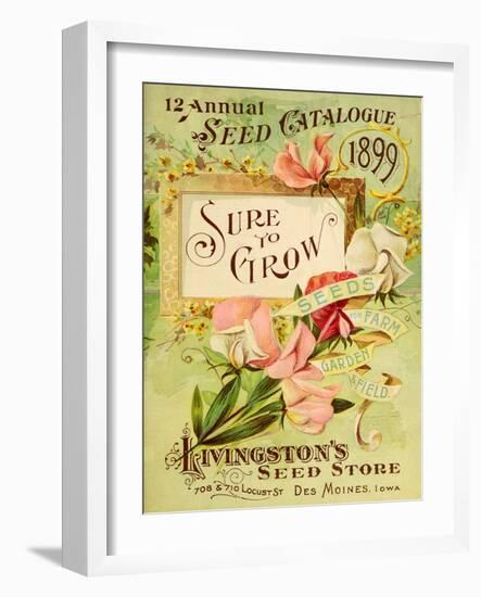 Antique Seed Packets VIII-Unknown-Framed Art Print
