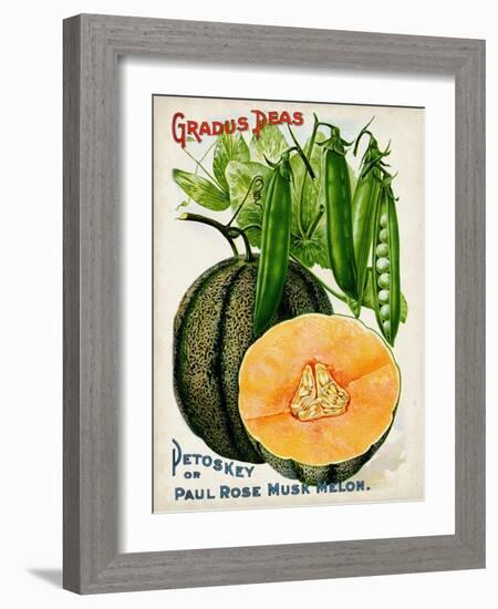 Antique Seed Packets X-Unknown-Framed Art Print