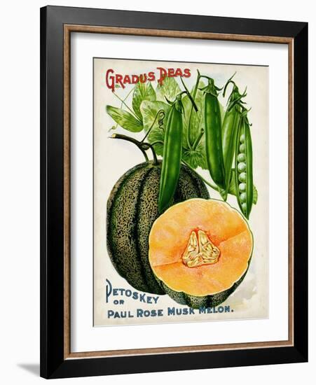 Antique Seed Packets X-Unknown-Framed Art Print