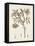 Antique Sepia Botanicals I-0 Unknown-Framed Stretched Canvas