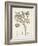 Antique Sepia Botanicals I-0 Unknown-Framed Art Print