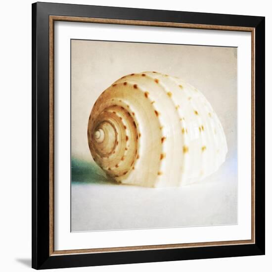 Antique Shell 02-Tom Quartermaine-Framed Giclee Print