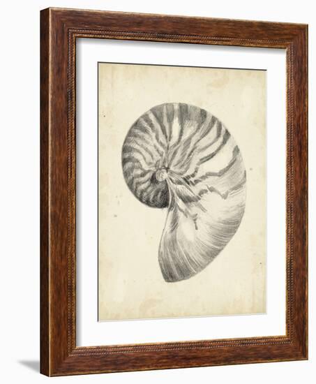 Antique Shell Study I-Ethan Harper-Framed Art Print