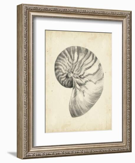 Antique Shell Study I-Ethan Harper-Framed Art Print